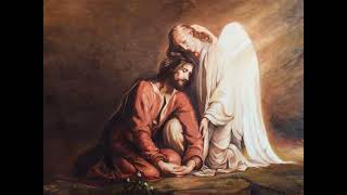 UNIÓN CON LA VOLUNTAD DE DIOS. 15.X.2020. Mons. Alberto José González Chaves