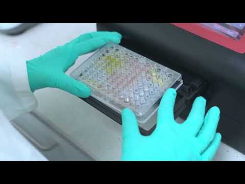 Revolutionizing Pulmonary Fibrosis Research with Human Lung Tissue Samples (PCLS) | AnaBios