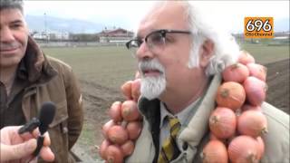 la-cipolla-ramata-di-montoro-protagonista-a-linea-verde