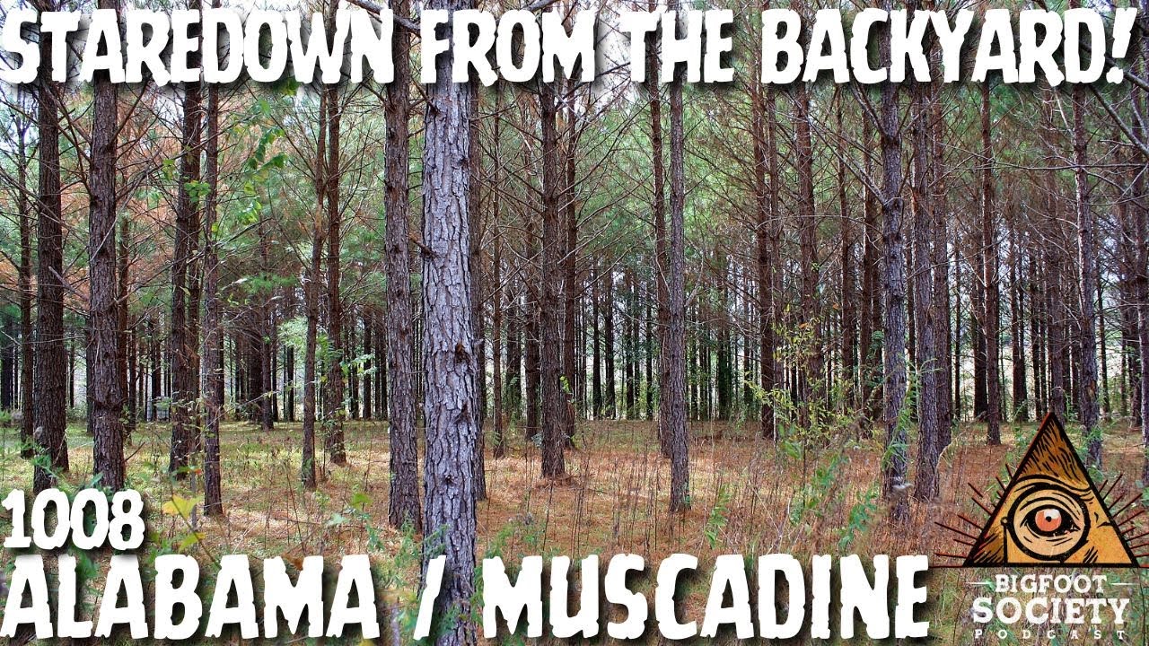 Staredown from the Backyard! | Alabama