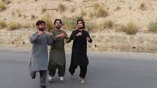 Naswar zindabad song