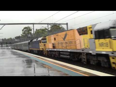 3AS8 "Indian Pacific" in light rain Wed 6 Dec 2016