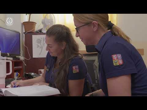 Vazební věznice České Budějovice