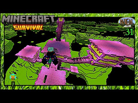 Time to Wing It!  Raiding Minecraft End Cities!  WOI #31