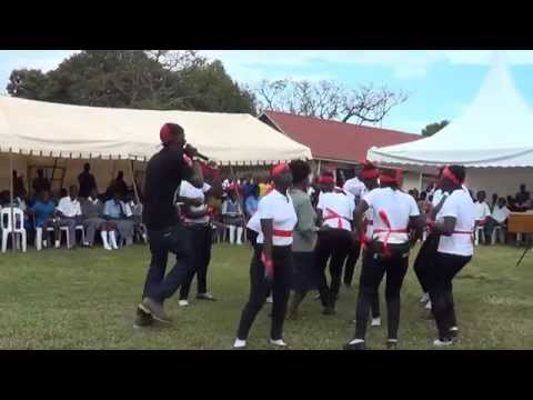 Viboyo Oweyo Love me Love me Live montage