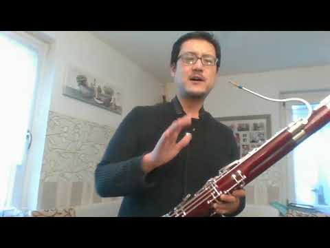 fagott unterricht ergänzung für Sophia