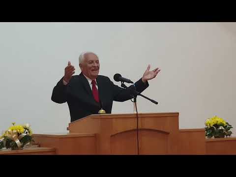 Bogdan Bibulović - Ne vladajte se prema ovome veku