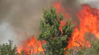 brucia-l-area-boschiva-di-cupazzo-ad-apice