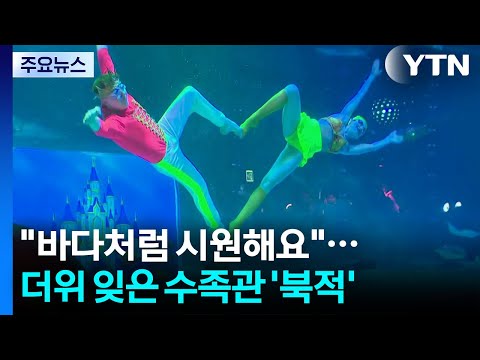 "바다처럼 시원해요"...더위 잊은 수족관 '북적' / YTN