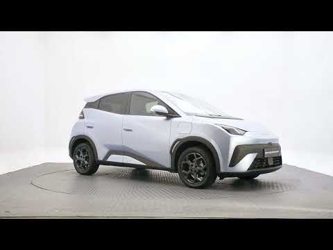 BYD DOLPHIN SURF Comfort Order Your 261 Today - Image 2