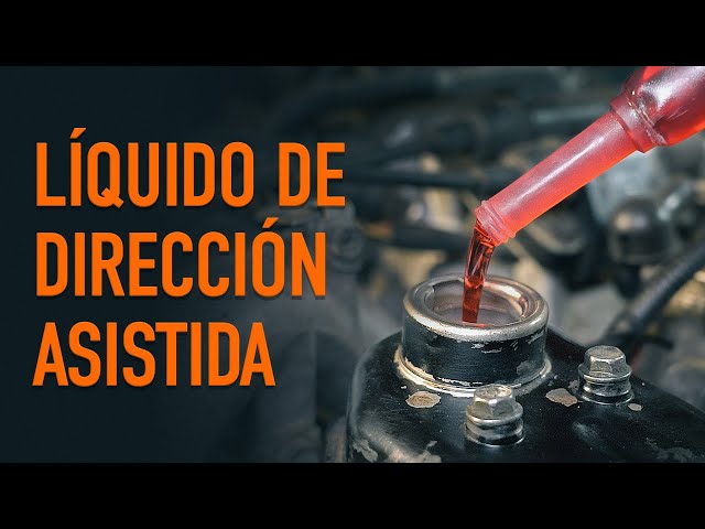 Desmontar Aceite dirección hidráulica instrucciones en línea