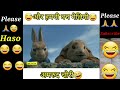 Peter Rabbit Sab LOol Hai Funny Magahi Dubbing Shorts