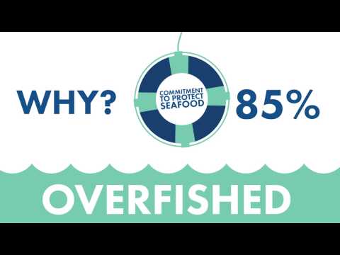 Food Lion - Seafood Sustainability Program