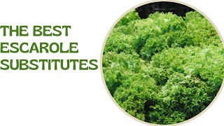 THE BEST ESCAROLE SUBSTITUTES