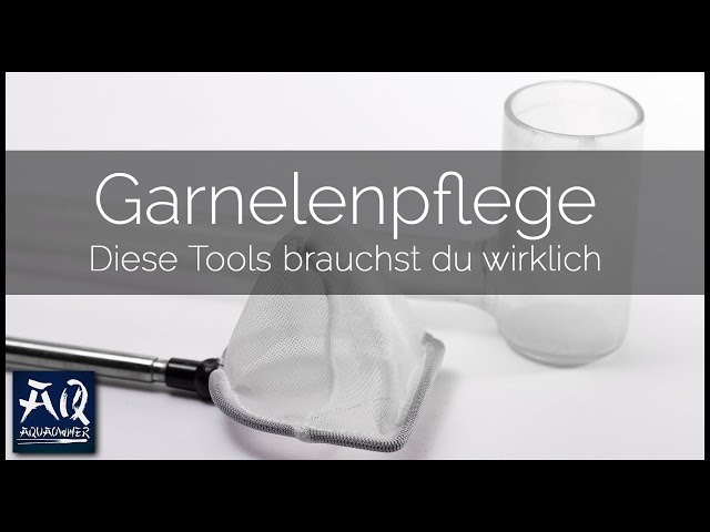 TOOLS ZUR GARNELENPFLEGE | 4 Must Have Tools für Garnelen im Aquascape | AquaOwner