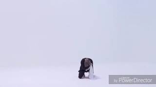 Download lagu Jimin BTS - Dionysus 'I Need U' MMA 2019 Dance Practice Mirrored Solo Performance mp3 Download lagu Jimin BTS - Dionysus 'I Need U' MMA 2019 Dance Practice Mirrored Solo Performance mp3