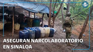 Download lagu Ejército desarticula narcolaboratorio e incauta armamento del crimen organizado en Sinaloa mp3 Download lagu Ejército desarticula narcolaboratorio e incauta armamento del crimen organizado en Sinaloa mp3