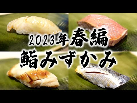 [Sushi Mizukami] ¡Los nigiri de primavera de 2023 se lanzaron todos a la vez!