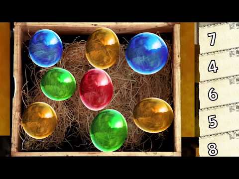 Bugs and Bubbles Video