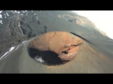 Parrot BeBop 2 Drone - Shop eBags.com