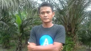 Download lagu Layang Suoro  ,,,,eni sagita @ vina mp3 Download lagu Layang Suoro  ,,,,eni sagita @ vina mp3