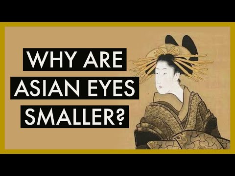 Why East Asian eyes are smaller (relatively) | Optometrist Explains