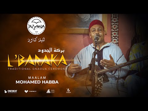 Maallem Mohamed Habba - Samawi   (Blue session) | Barakt Jdoud Lila