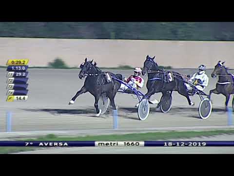 Aversa trotto 18 Dicembre 2019 - 7° Corsa