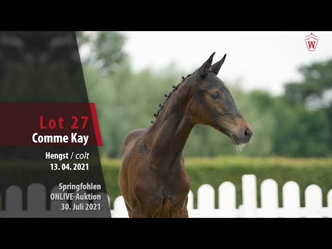 Onlive-Auktion Springfohlen Lot 27 Comme Kay Hengst v. Comme il faut NRW - Capilano