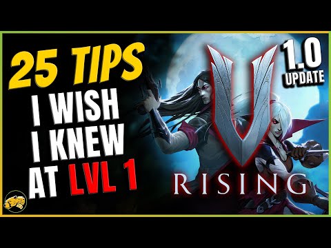 V Rising 1.0 (2024) - BEGINNER'S Guide - Blood Type, Castle Heart, Crafting, Combat and more
