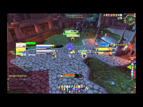 Thug Cleave v. Thug Cleave w/Resto Shaman: Win
