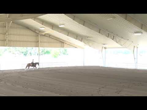 180525 NP Lorri Peterson on Wimpys Stepped Up