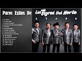 MIX TIGRES DEL NORTE PUROS EXITOS