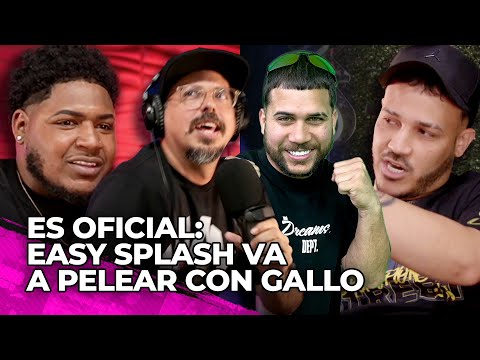 EASY SPLASH VA A PELEAR CON GALLO ????????????, AMENAZA A CHENTE Y CRITICAN A BIMBO