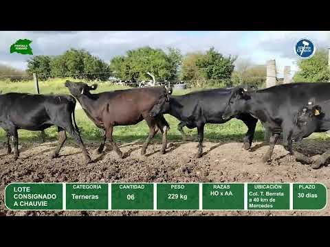 Video del lote L0-000859