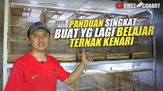 Download lagu 3 Tips for learning how to breed canaries for beginners mp3