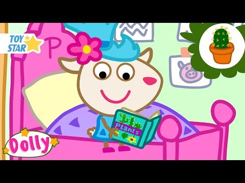 Dolly And Friends Funny Cartoon For Kids | blooming cactus | Season 3 | 5 New Episodes #205 Full HD