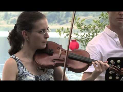 Klassik am See - Trio