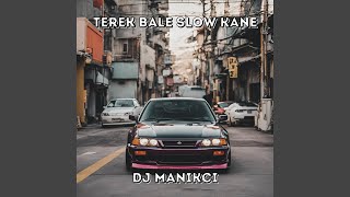 Download lagu Terek Bale Slow Kane mp3