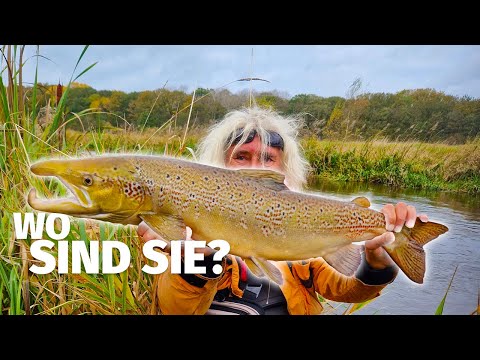 SALMON FISHING NEXT DOOR - JÖRG & JANNE OVENS on HOLIDAY in DENMARK - 'Catch something' (07)