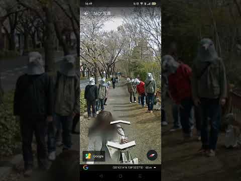 街路樹ファインダー「ストリートビュー」