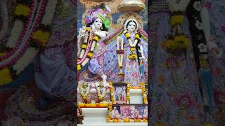 Download lagu Today's Beautiful Darshan of Sri Radha Vrindavan Chandra #radhavrindavanchandra mp3