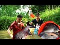 Harvesting Big Fish Selling Them And Cooking A Traditional Family Meal Homemade Pumpkins Caker