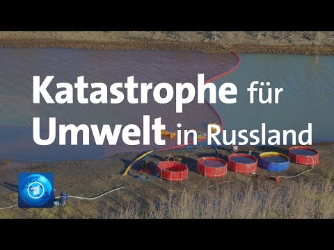 Fluss in Russland: Umweltkatastrophe nach Leck in Dieseltank