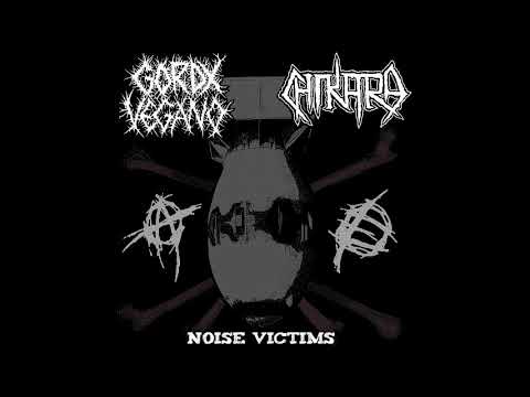 Gordx Vegano - Split w/ CHIKARA {NOISE VICTIMS}