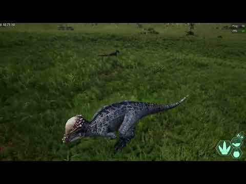 Pachy vs. Cocky Utah