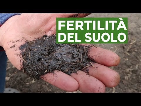 Ginnastica al emangioma colonna vertebrale toracica Anatomia risonanza magnetica della spalla presentazione congiunta