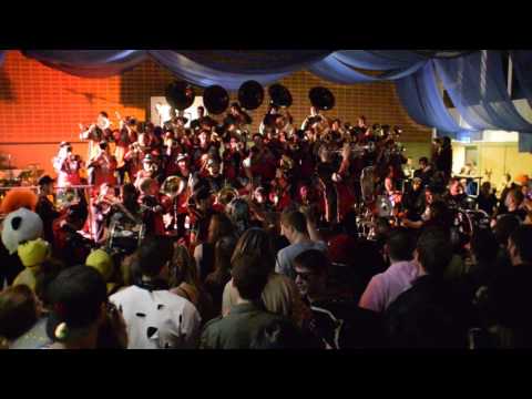 Gupfe-Fläxer  - Toten Hosen - Medley [ Niederhof 2017 ]