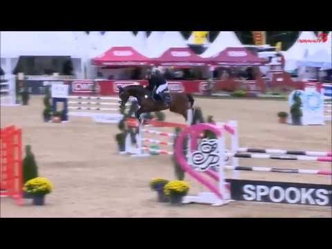 CASCADELLO BOY: stallion by Cascadello (Casall) x Balou du Rouet, www.equine-evolution.com