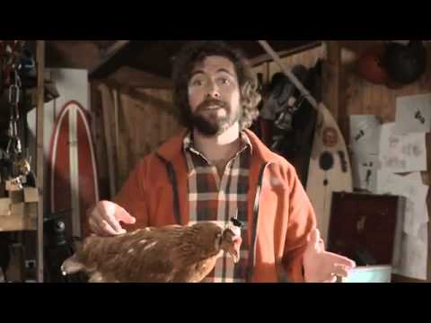 Steady Feathers  LG G2   The most extreme camera ever 'Chicken'1